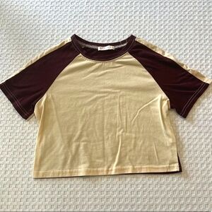 Warm Neutral Colorblock Crop Tee